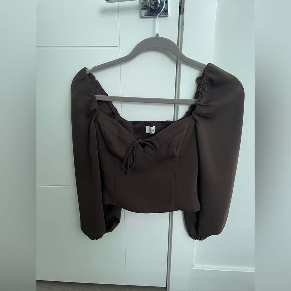 Aritiza Brown Novella Blouse